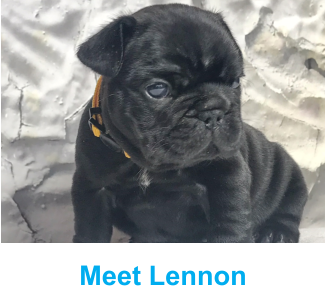 Meet Lennon